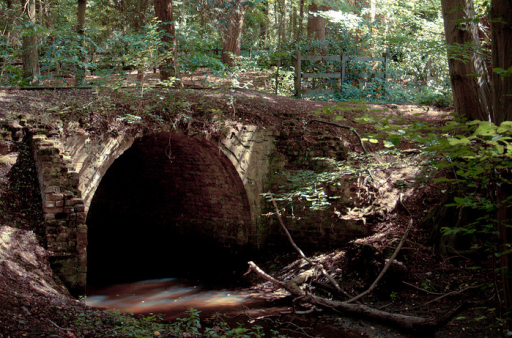 Photo credit: Neilwill (Flickr)