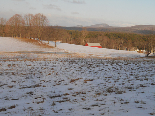 landscape in early morning