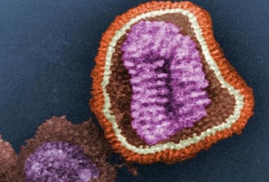 The New Bird Flu, and How to Read the News About It