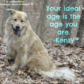 ideal DSC1531 290x290 Woofisms: Woofs of Wisdom© funny dog blog