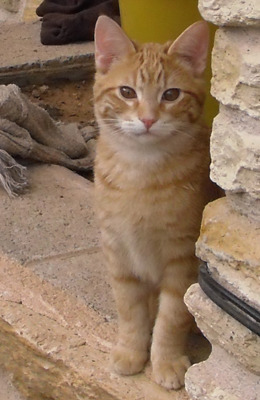 Burtie back in December