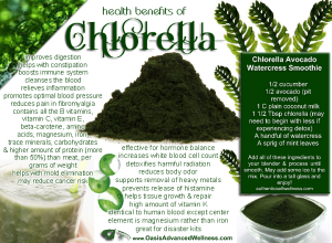 Chlorella Benefits - Superfood From The Ocean
