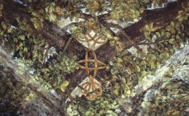 Leonardo da Vinci, Ceiling of the Sala delle Asse, 1498