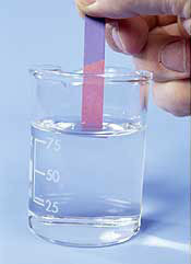 Have you ever felt unfairly labeled? 