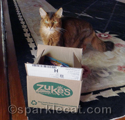 I wish the box had been bigger