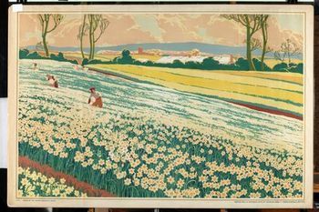 Isles of scilly bulb series aa moores 1920s empire marketing board