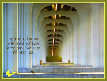 Photo used with permission from: P. J. Di Benedetto Text added by: Angie Kay Webb