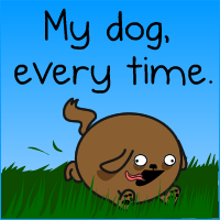 My dog, every time. 
