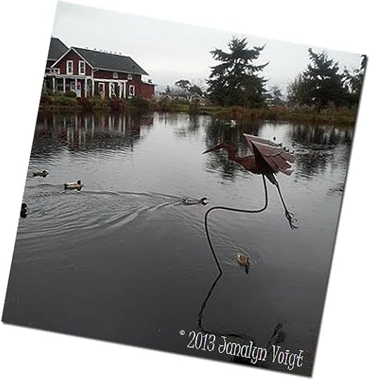 Farm pond with Heron