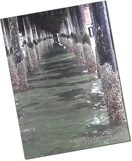 Beneath Coupeville pier