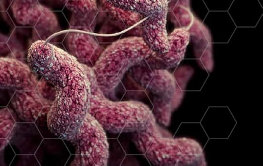 CDC Threat Report: Yes, Agricultural Antibiotics Play a Role in Drug Resistance