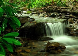 Water Fall - 18 Jun 2013