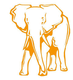 Elefante naranja.
