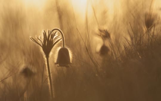 freeimage-8878651-web