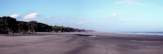 St. Catherines Island Beach Panorama