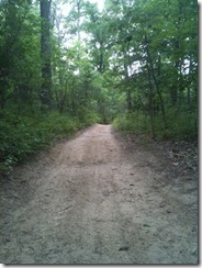 Trail