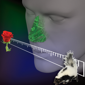 The Electronic Nose