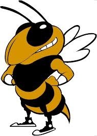 A new breed of yellow jacket.