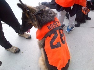 Jake as #28, Buster Nosey!