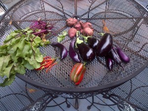 Thai chilies, beets, potatoes, Japanese eggplant, black satin eggplant, Costa Rican sweet pepper.