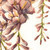 :iconshini-fg: