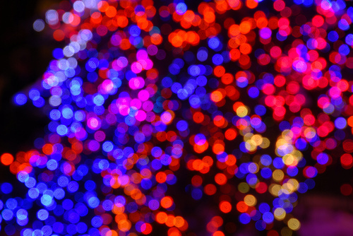 Twinkling christmas lights