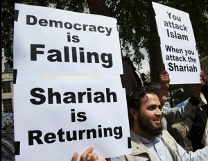 shariadfgs