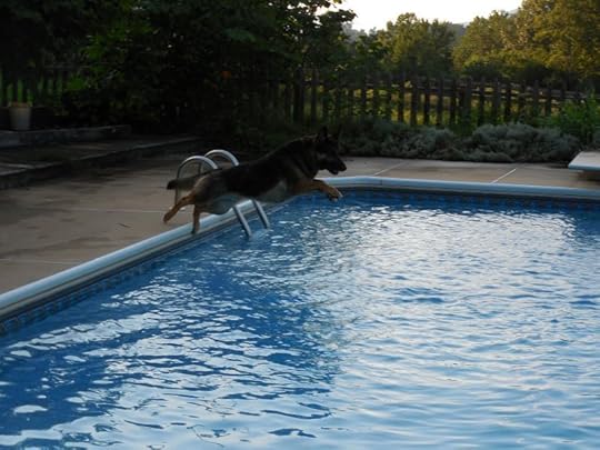 Leaping Hawkeye resized