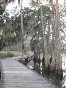 Bayou Boardwalk