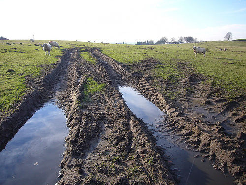 Mud, Tears, and Polynomials