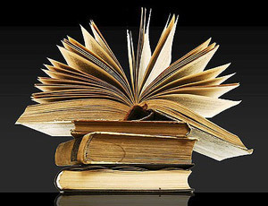 books The storys the thing and the meaning of words