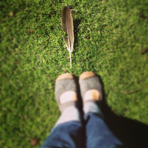 These feather sighting. Sigh.