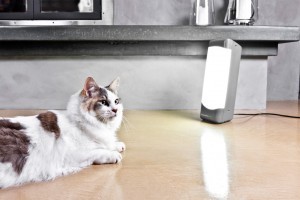 Sol_Box_Pawsitive_Lighting