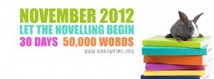 NaNoWriMo 2012