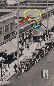 00007790 crop nm