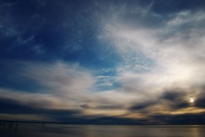 DSC_8376