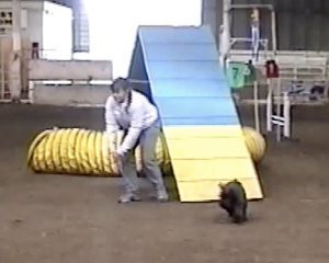 69848_1600955539947_4182855_n