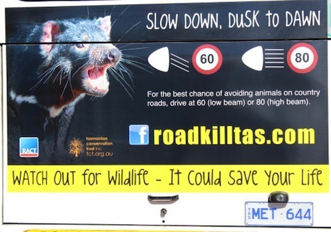Tasmania Roadkill Composting