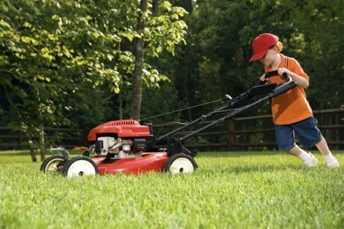 Lawnmower_t620