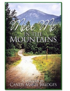 cover of book-001