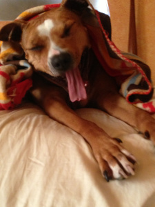 cheryawn2
