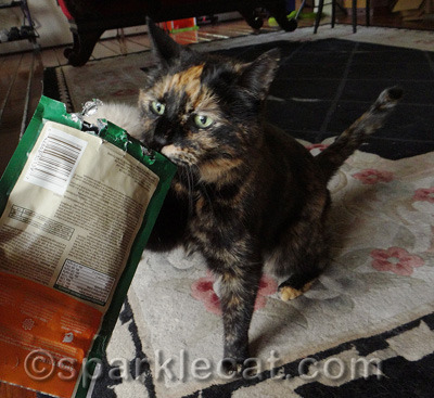 Sing it: she wants to eat all the treats!