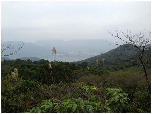 Hong Kong