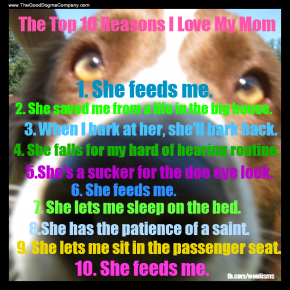 loveIMG 2509 290x290 Sunday Silliness funny dog blog