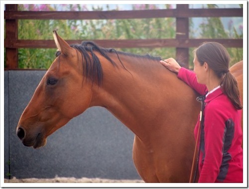 23 July 1 23-07-2013 14-16-11