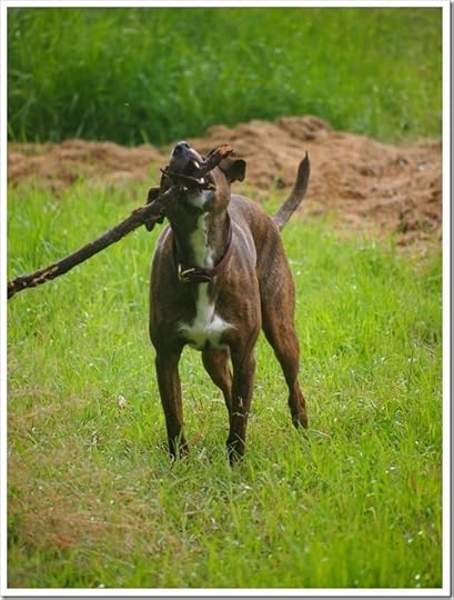 23 July 2 23-07-2013 15-46-43