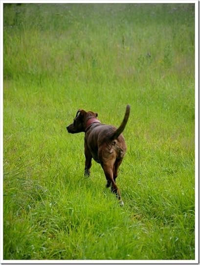 23 July 3 23-07-2013 15-48-02