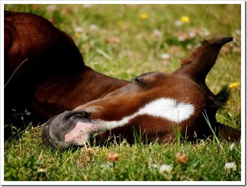 23 July 4 22-07-2013 15-12-09