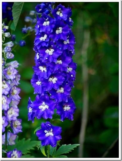 23 July 5 22-07-2013 18-04-00