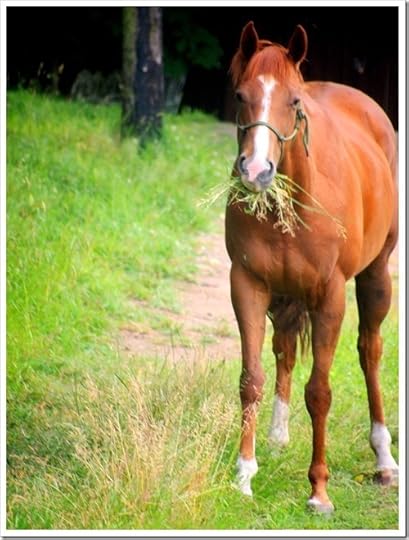 23 July 6 20-07-2013 10-18-48